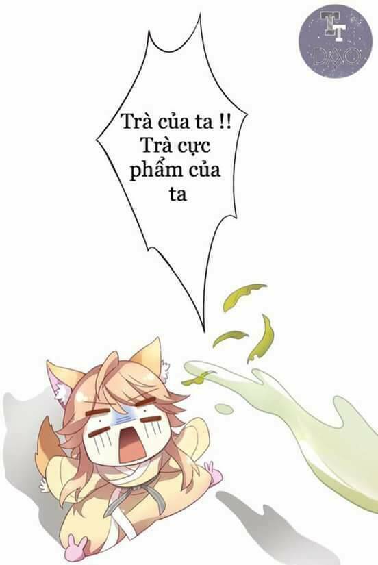 Dưới Móng Vuốt Mèo: Chapter 2