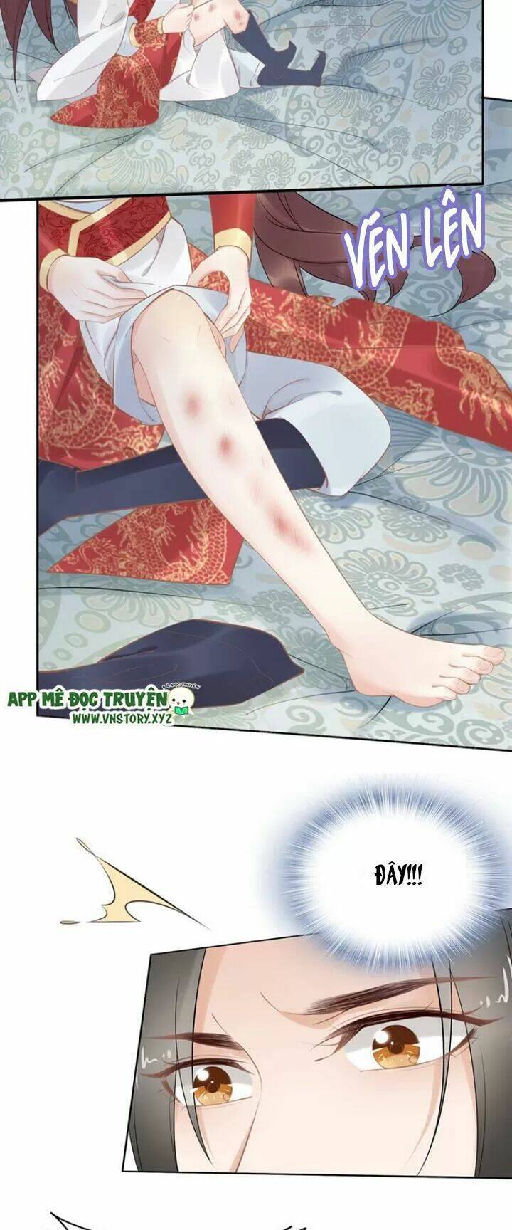 Nhất Sinh Nhất Thế Tiếu Thương Khung: Chapter 68