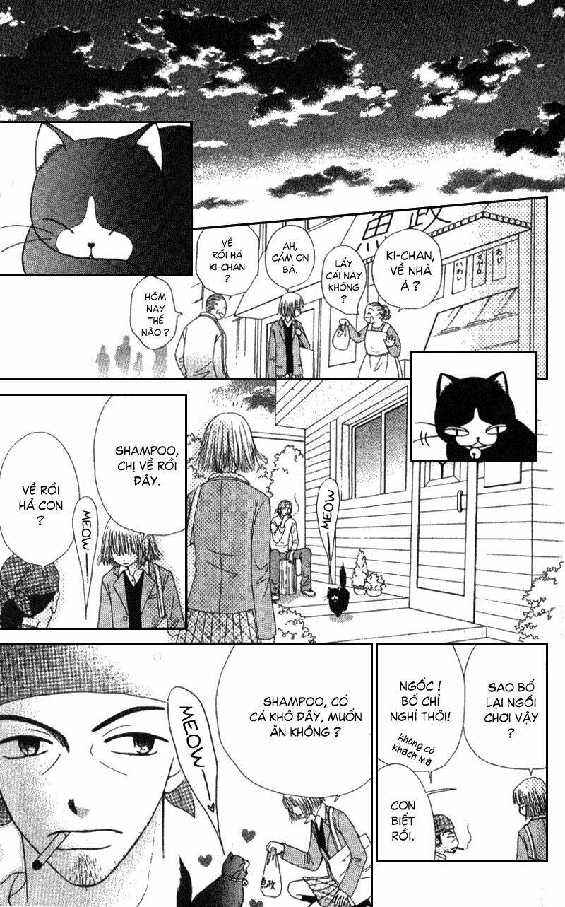 Dự Án Kéo Vàng: Chapter 4