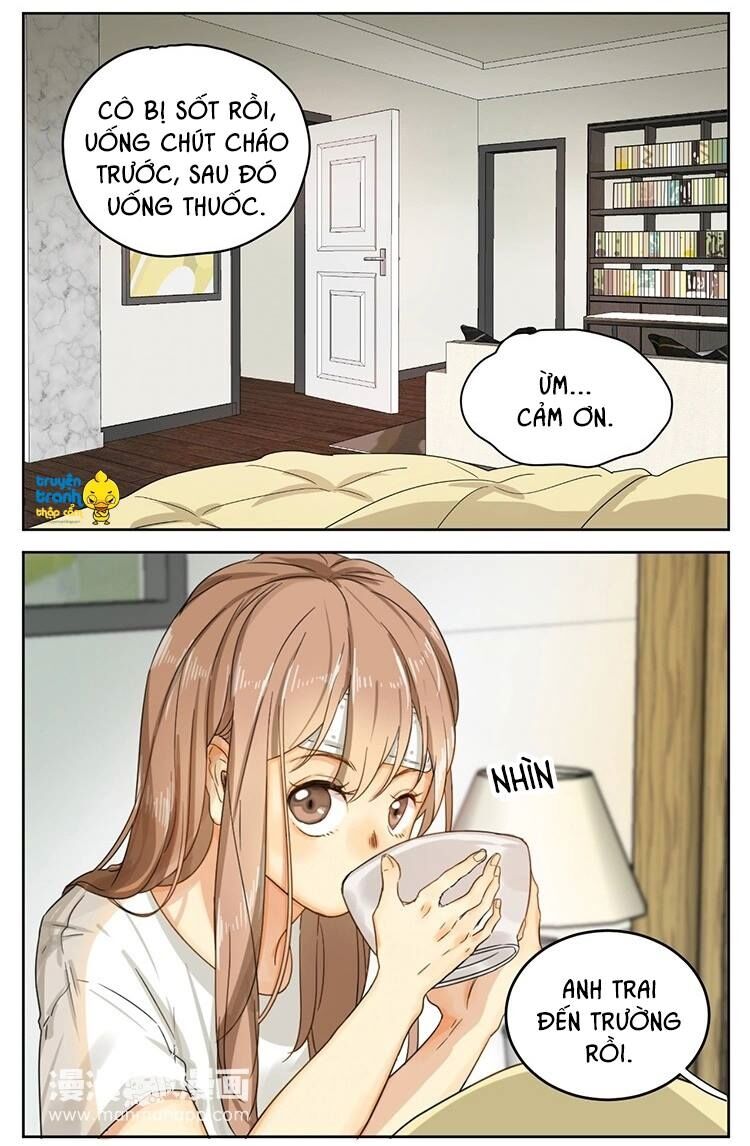Cứu mạng ! Loài mèo thống trị thế giới rồi !: Chapter 14