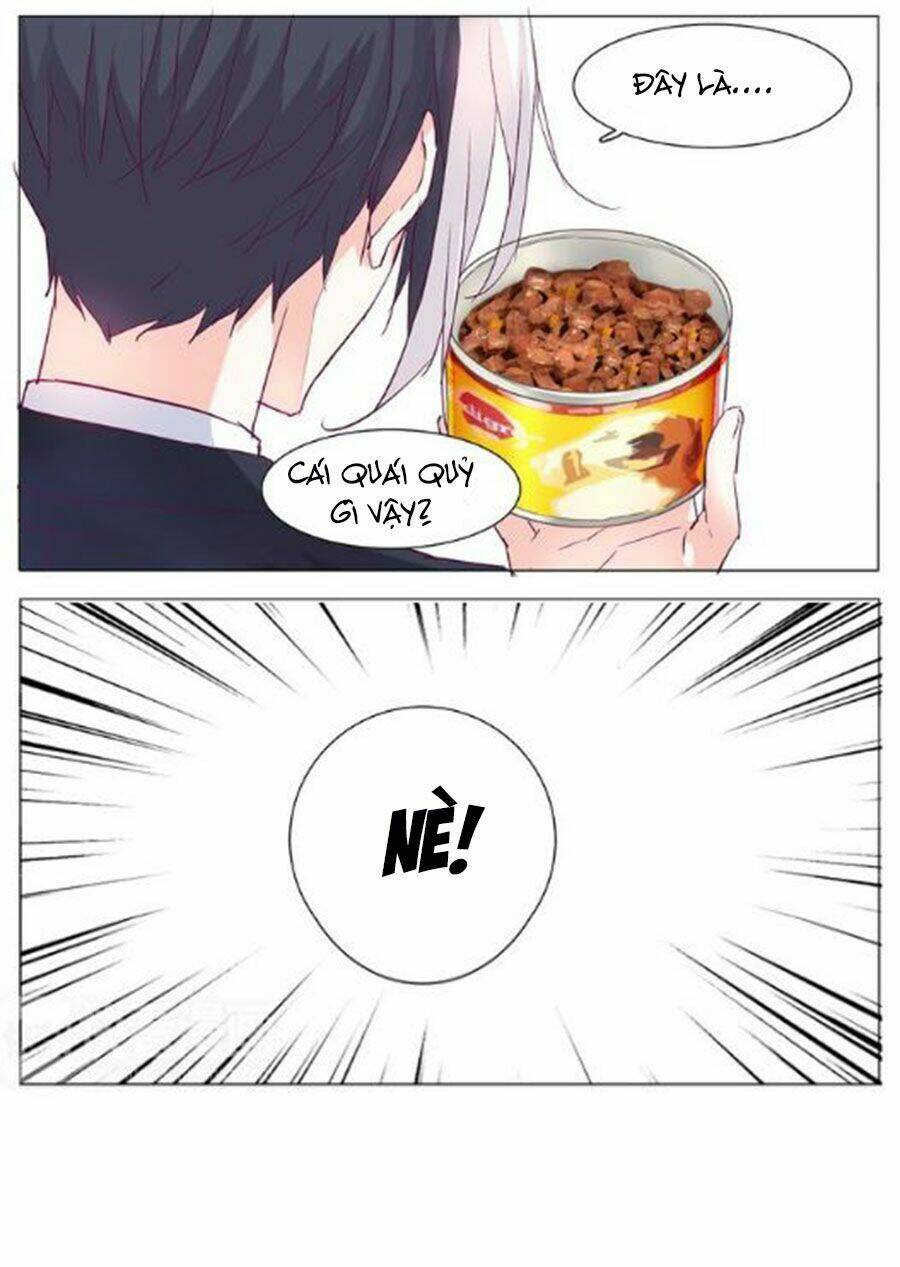 Đừng Nghịch, Ta Chỉ Muốn Yên Tĩnh: Chapter 6