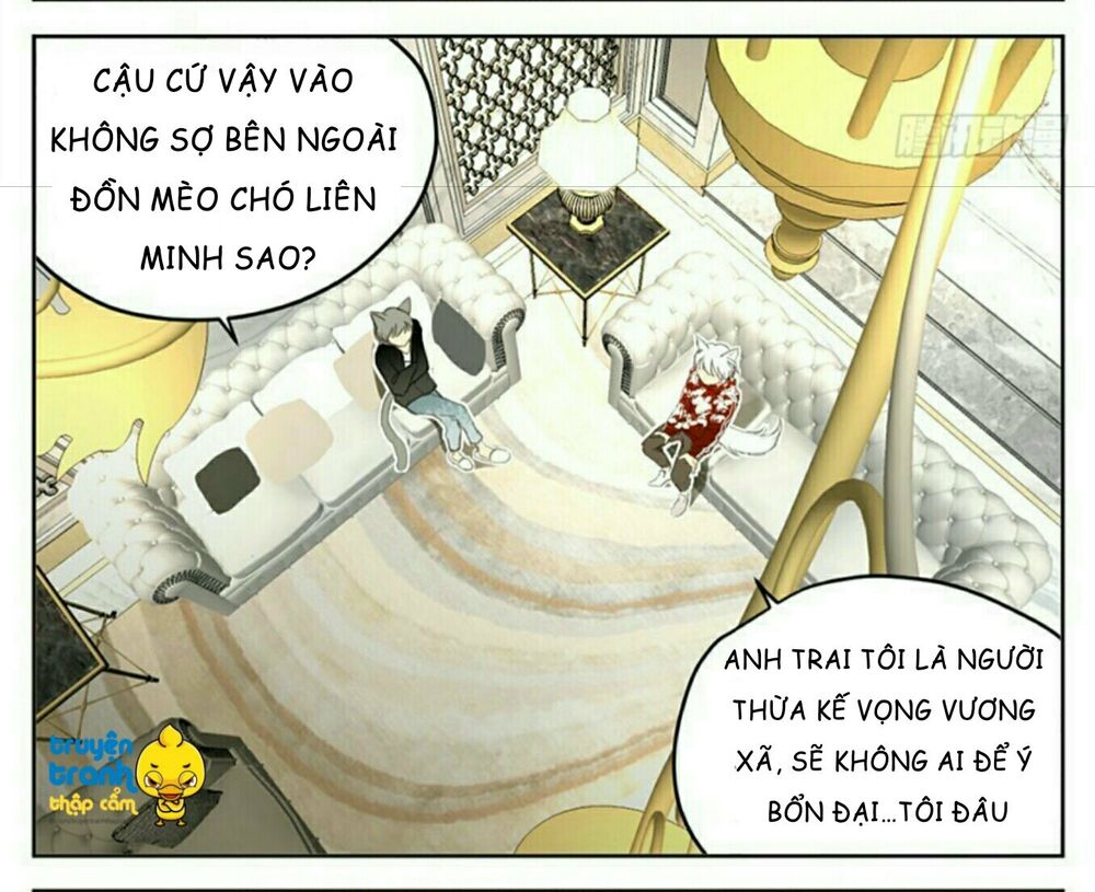 Cứu mạng ! Loài mèo thống trị thế giới rồi !: Chapter 32