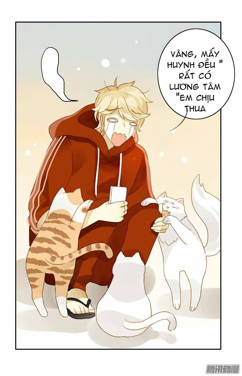 Sức Mạnh Của Sắc Đẹp: Chapter 58