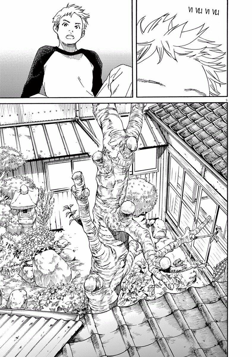 Neko No Otera No Chion-San: Chapter 8