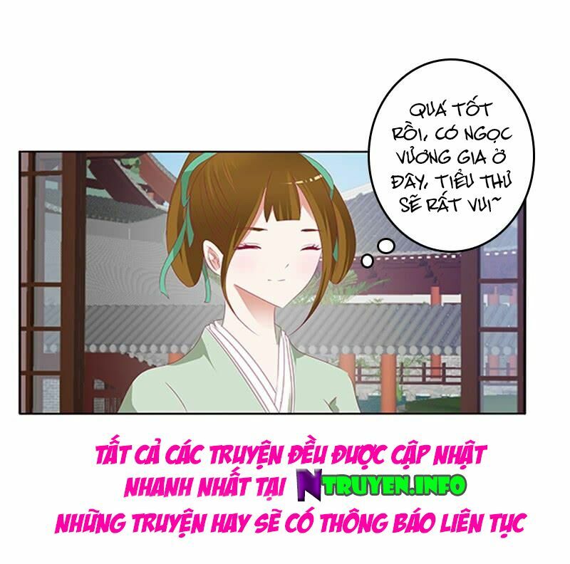 Thông Linh Phi: Chapter 432