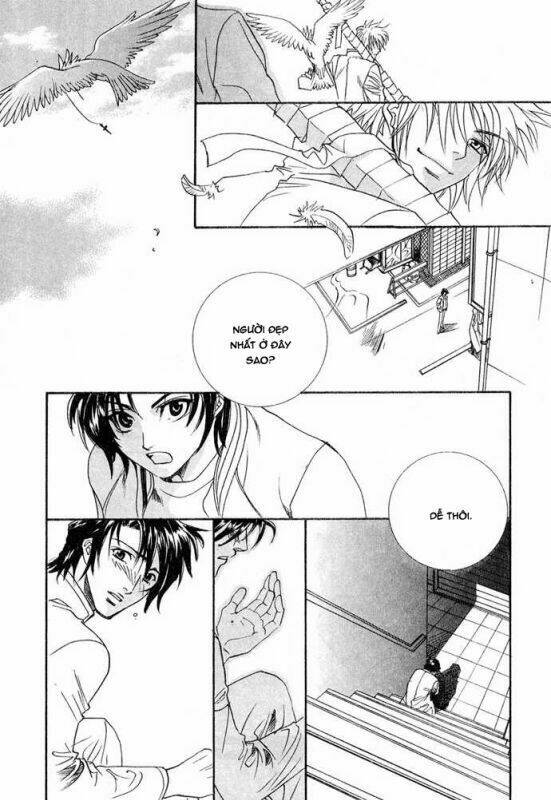 Innocent Bird: Chapter 13