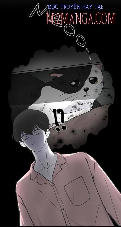 Ba Người Anh Trai Của Tôi Là Bạo Quân: Chapter 11.5