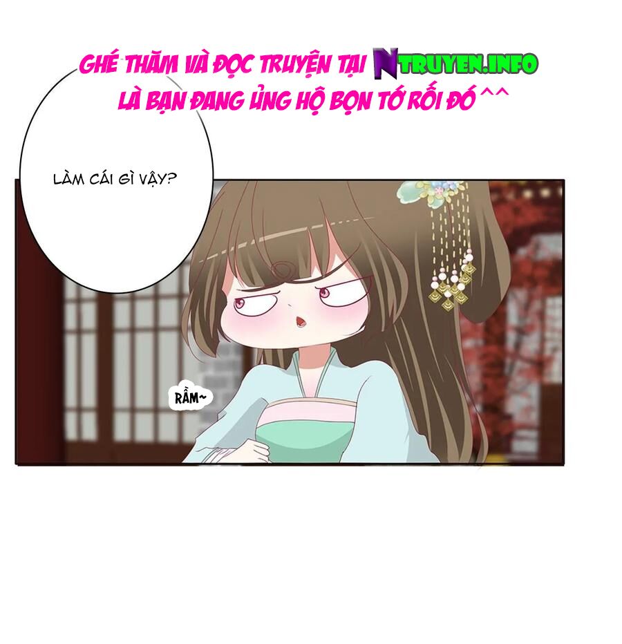 Thông Linh Phi: Chapter 608
