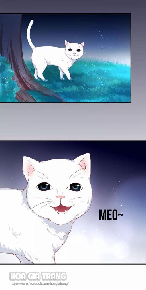 Ở lại thế kỷ này: Chapter 4