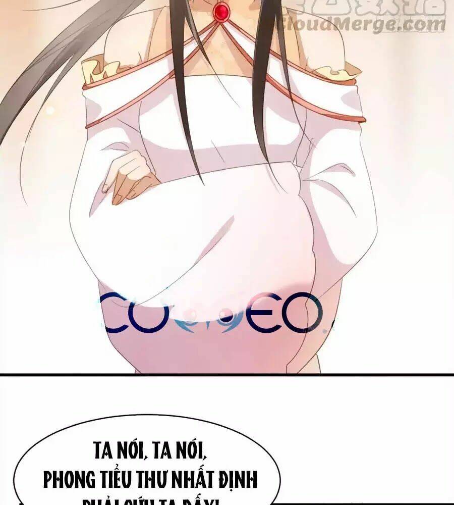 Vương Phi Muốn Trèo Tường: Chapter 41