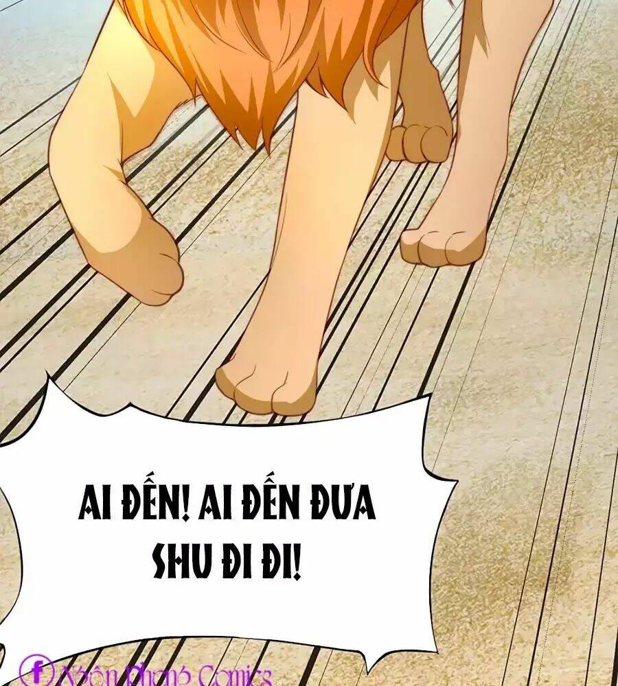 Sủng Hậu Của Vương: Chapter 1