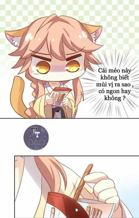 Dưới Móng Vuốt Mèo: Chapter 6