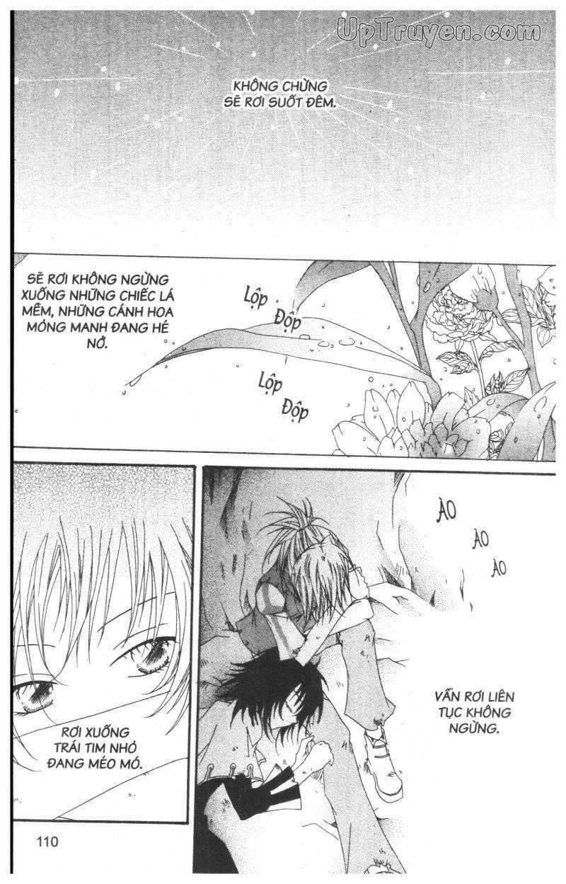 Nước Mắt Nàng Tiên Cá: Chapter 5