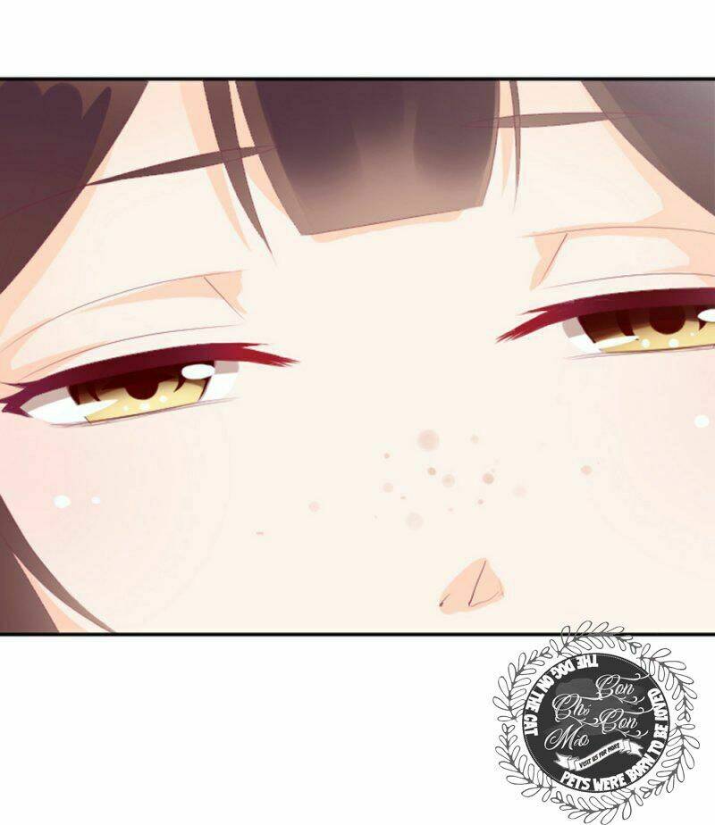 The Queen Note: Chapter 4