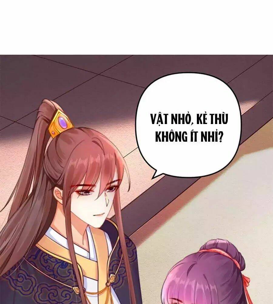 Hoạn Phi Hoàn Triều: Chapter 45