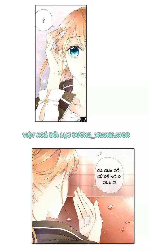 Tình yêu là màu hoa anh thảo: Chapter 20.5