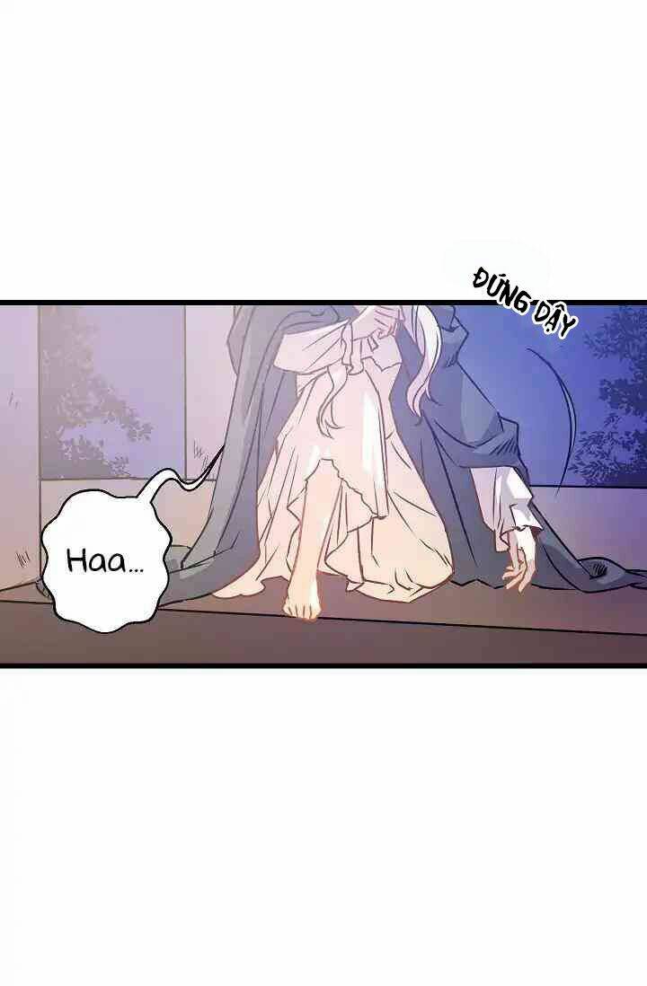 Hôn Lễ Báo Thù: Chapter 5