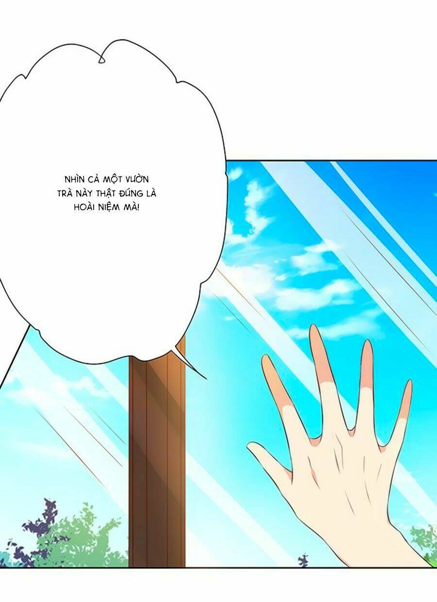 Bạn Trai Là Ngôi Sao: Chapter 65