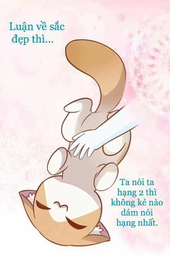 Dưới Móng Vuốt Mèo: Chapter 8