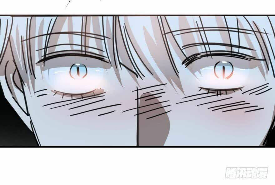 Truy Bắt Ngao Ngao: Chapter 12