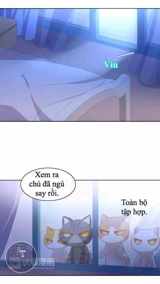 Dưới Móng Vuốt Mèo: Chapter 13