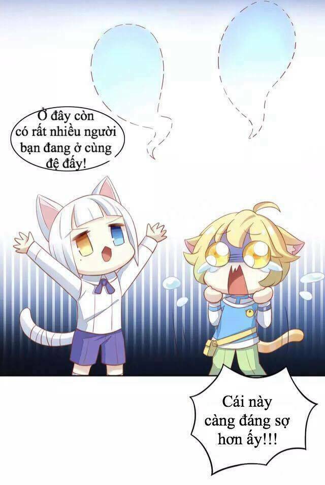 Dưới Móng Vuốt Mèo: Chapter 13