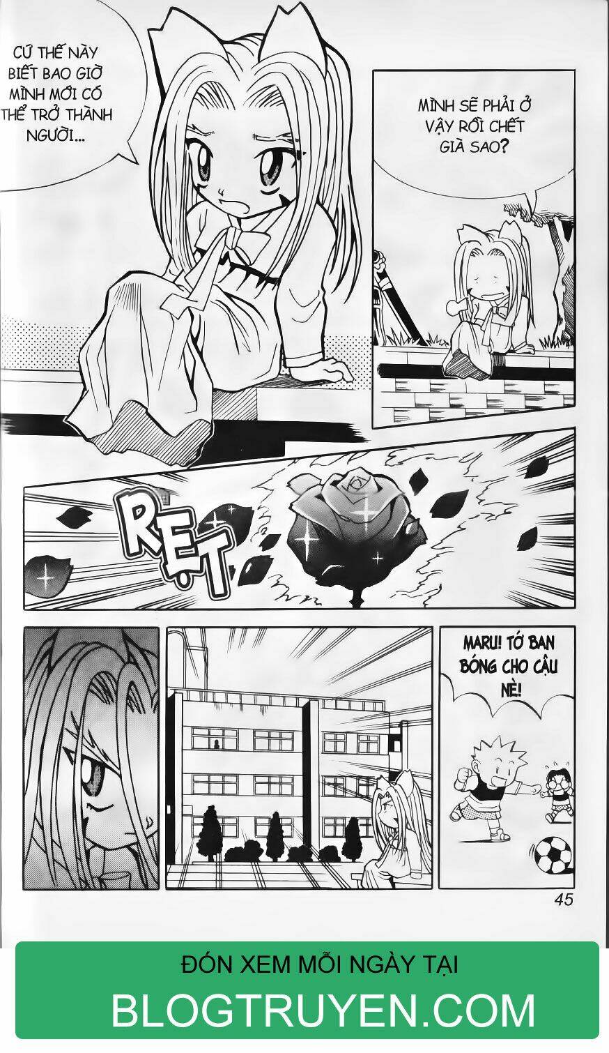 Shin Gumiho - Hội Pháp Sư: Chapter 2.1