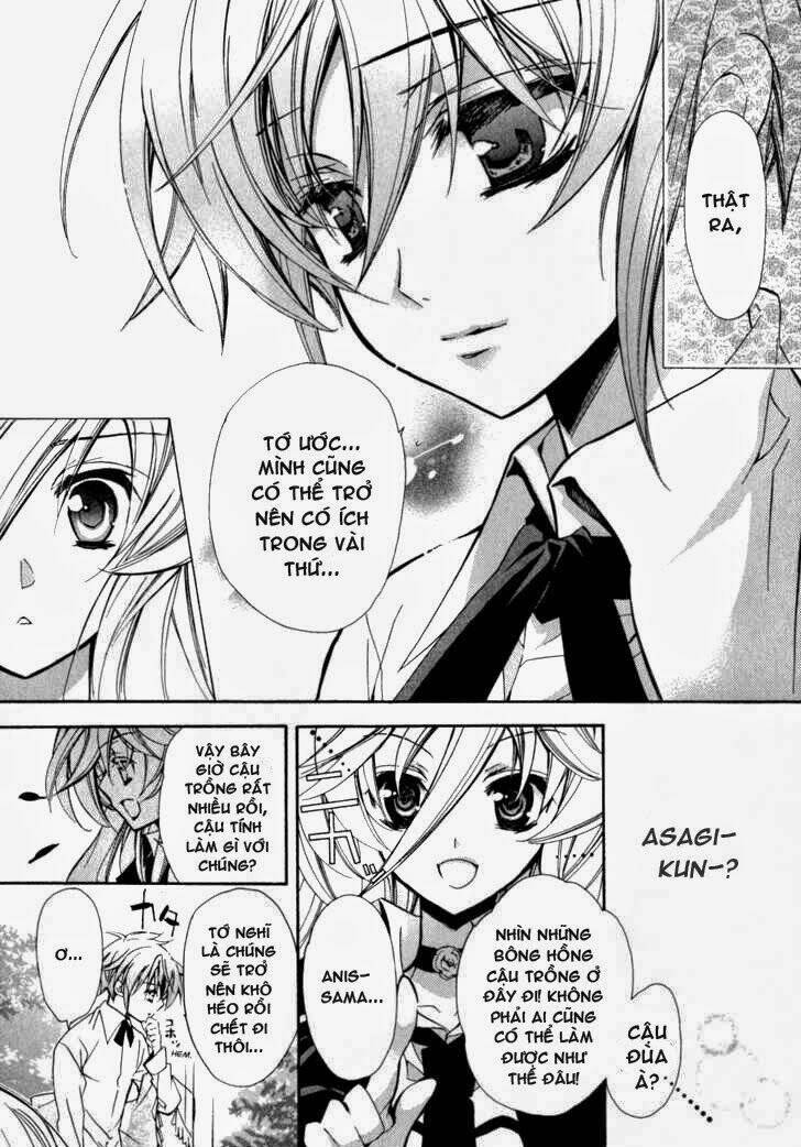 Nụ Hôn Của Công Chúa Tường Vi: Chapter 4