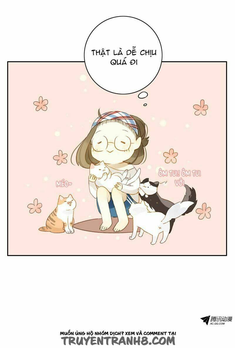 Sức Mạnh Của Sắc Đẹp: Chapter 11