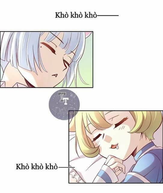 Dưới Móng Vuốt Mèo: Chapter 1