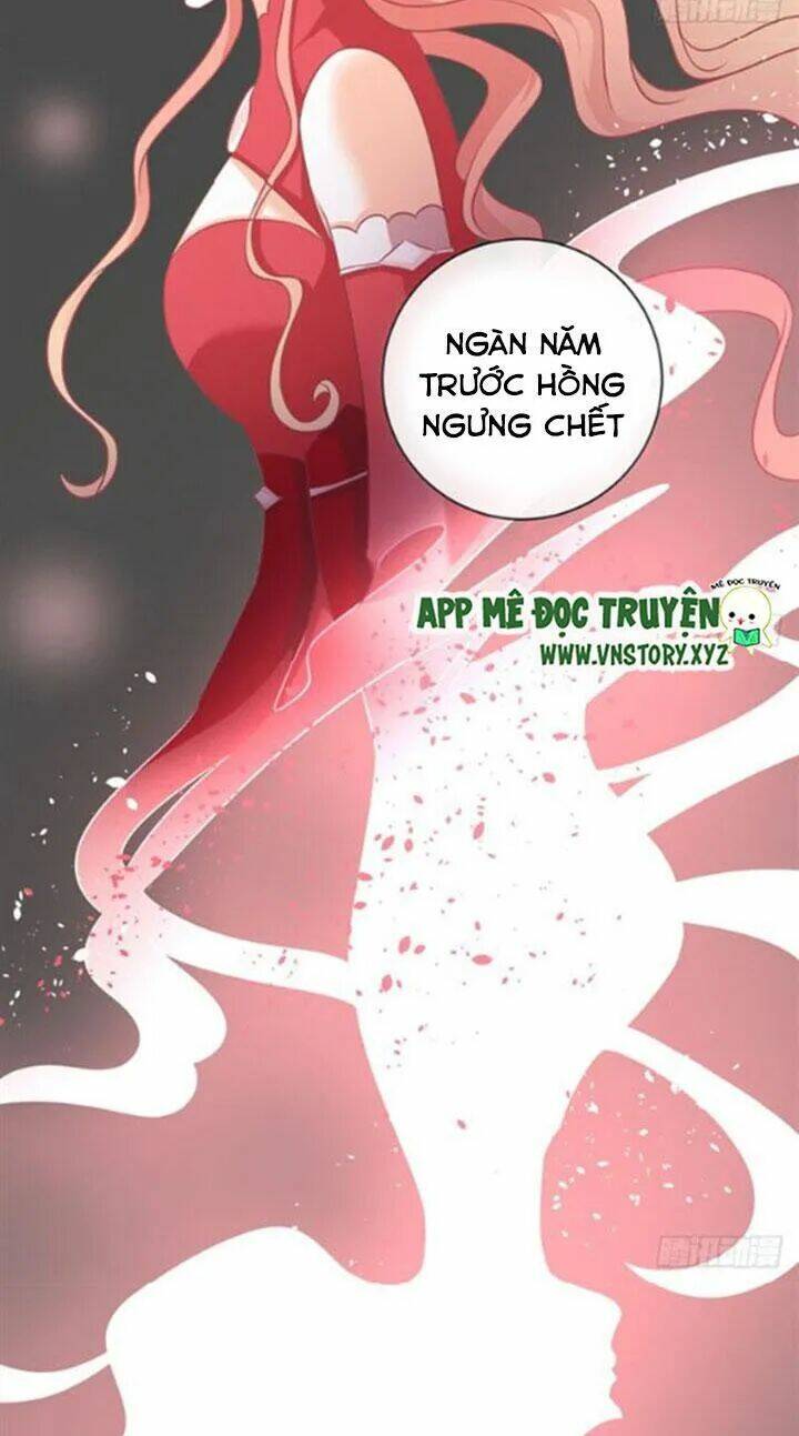 Cẩm Lý Thiếu Nữ Của Tôi: Chapter 68