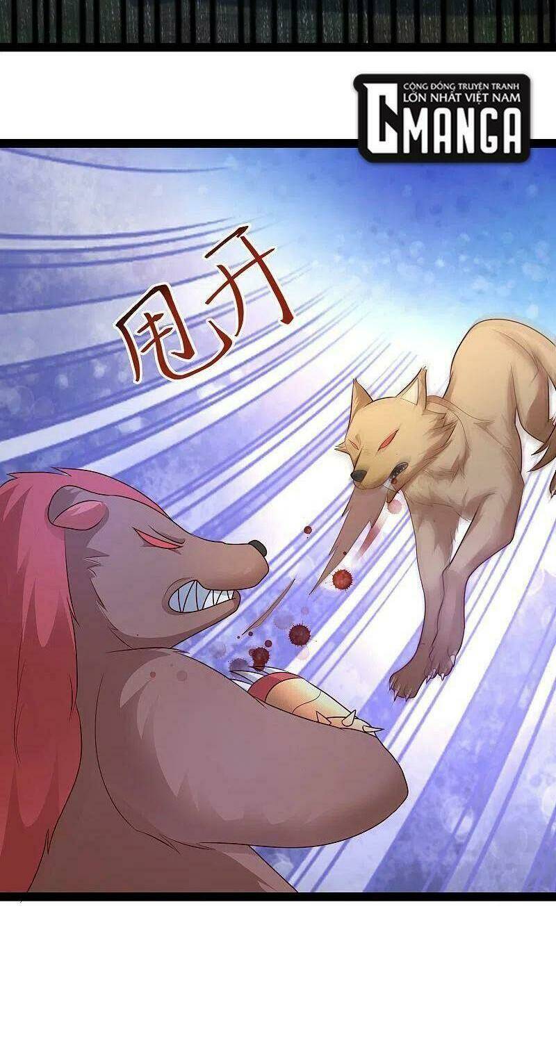 Tối Cường Vận Đào Hoa: Chapter 258