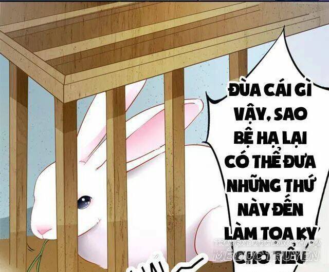 Tuyệt Thế Luyện Đan Sư: Chapter 10