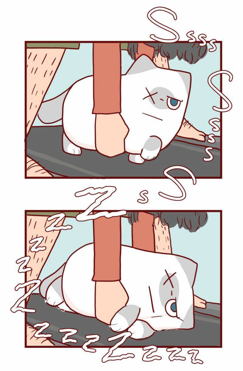 Saphie: Chú mèo một mắt: Chapter 12