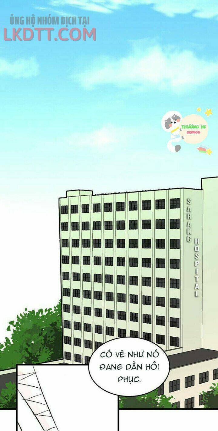 Từng Bước Đến Bên Anh: Chapter 5