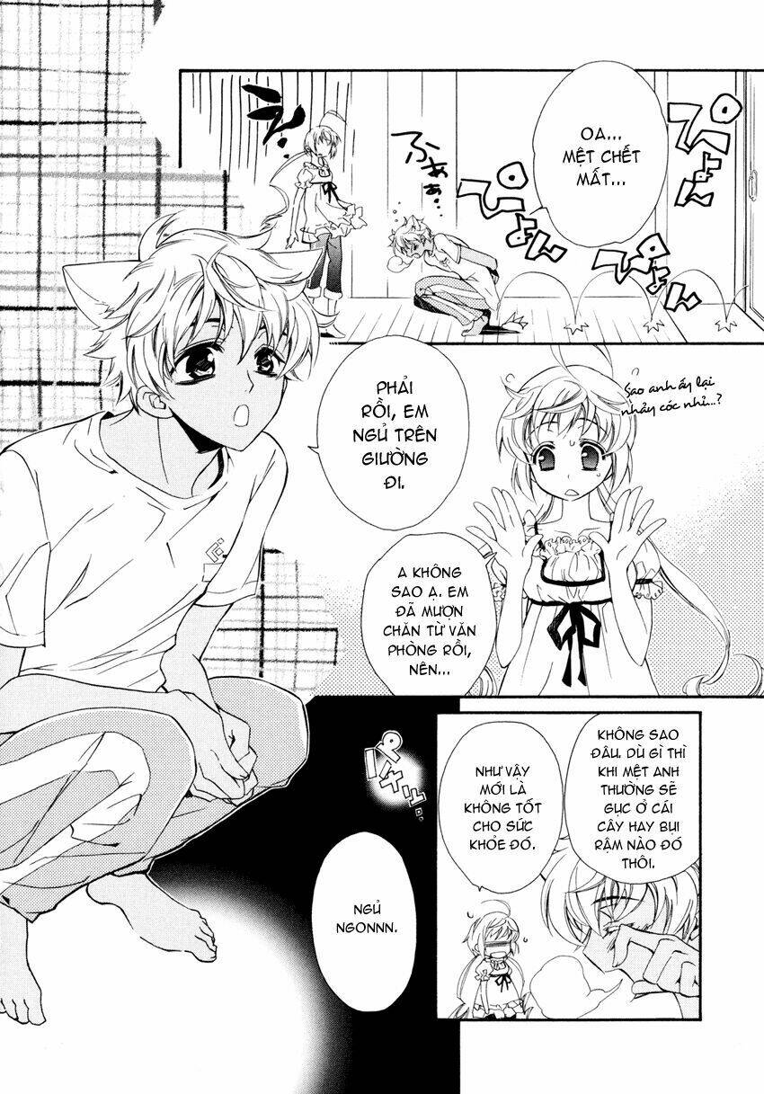 S.L.H (Stray Love Hearts): Chapter 4