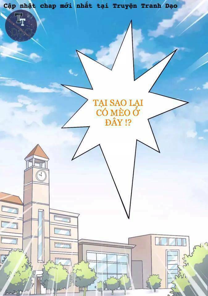 Dưới Móng Vuốt Mèo: Chapter 21