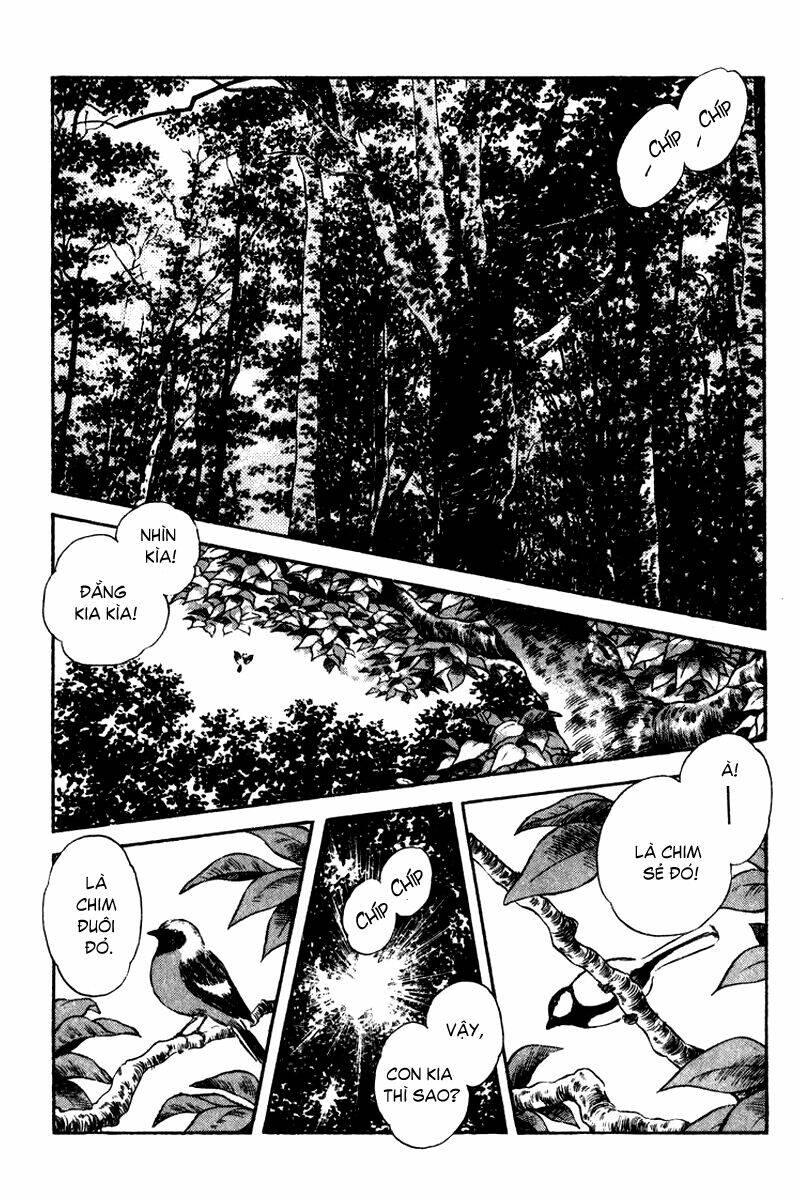 Rough - Ngọc Thô: Chapter 33