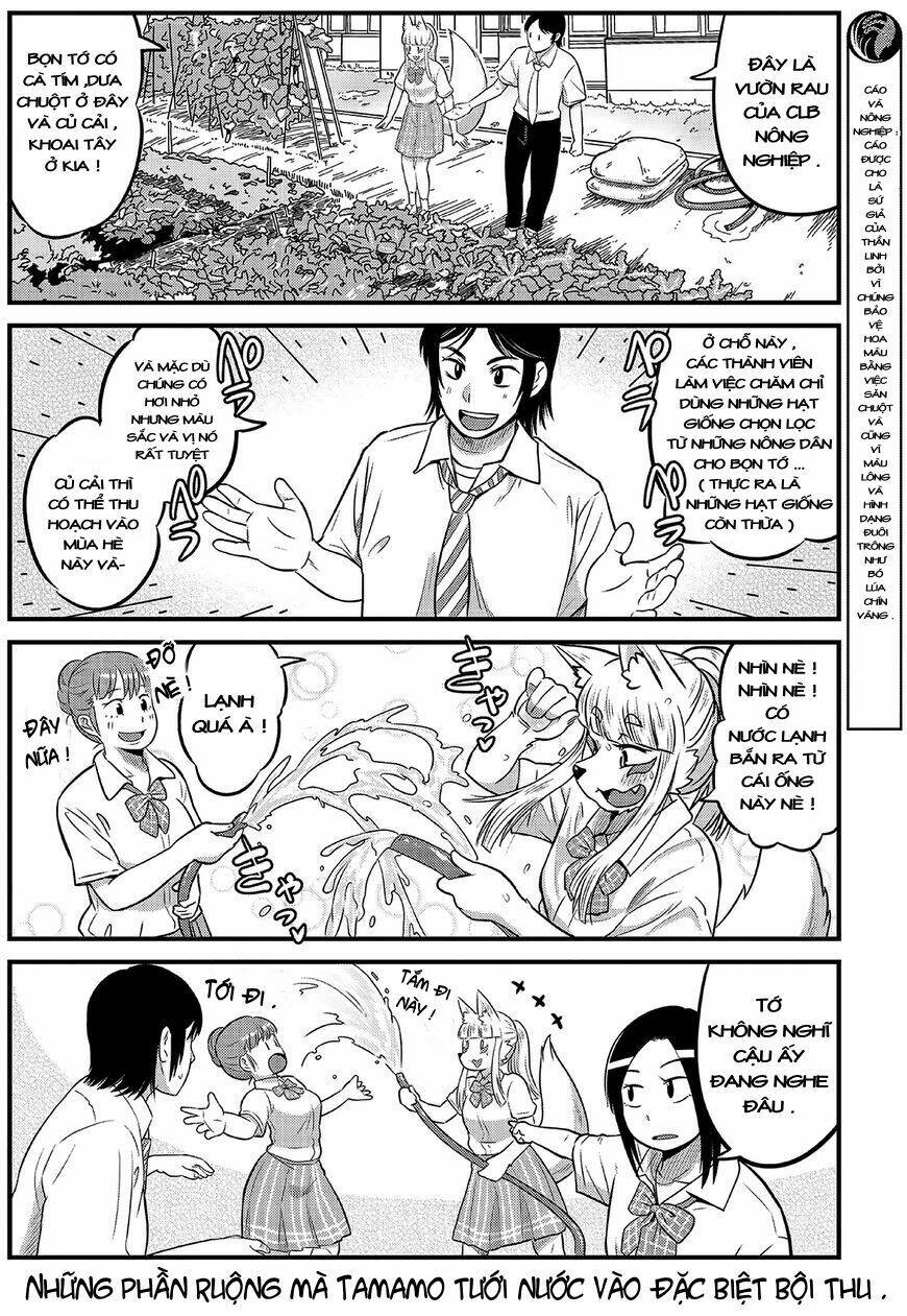 High School Inari Tamamo-Chan: Chapter 13