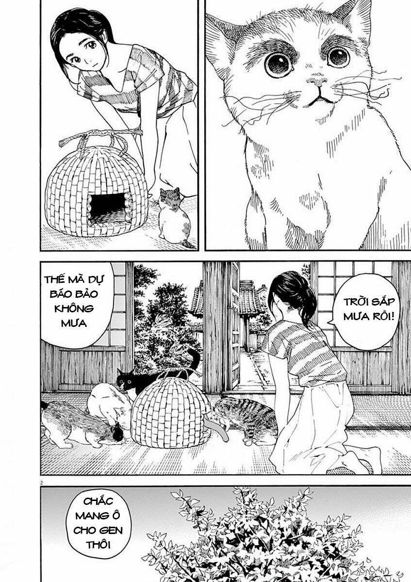 Neko No Otera No Chion-San: Chapter 53