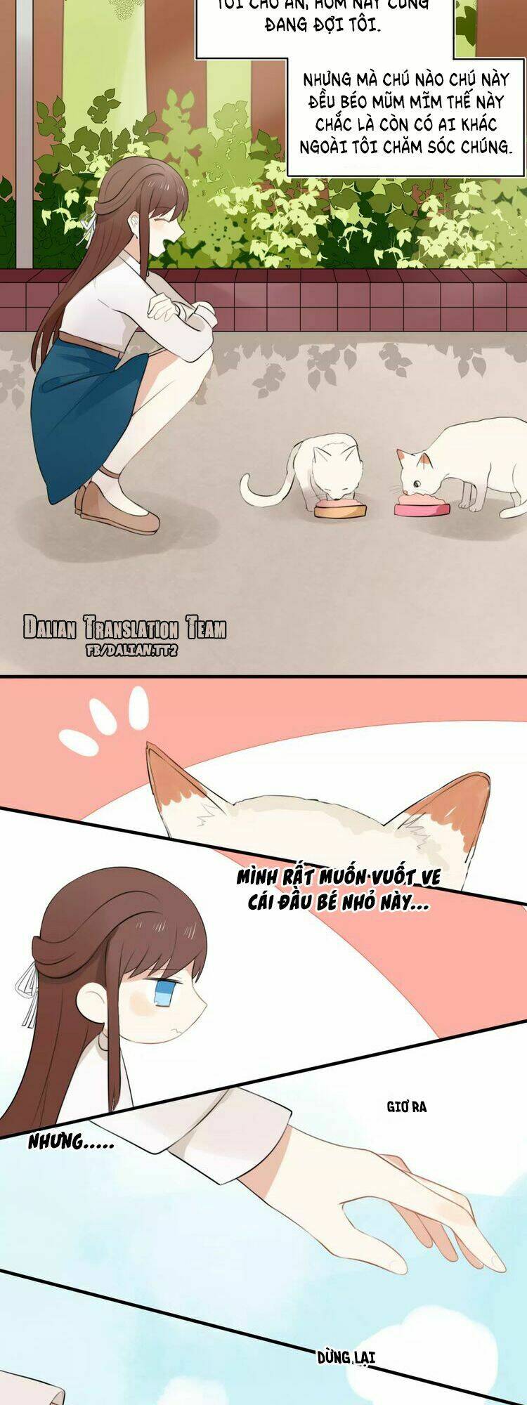 Tiểu Miêu Và Hắc Diệu Thạch: Chapter 1