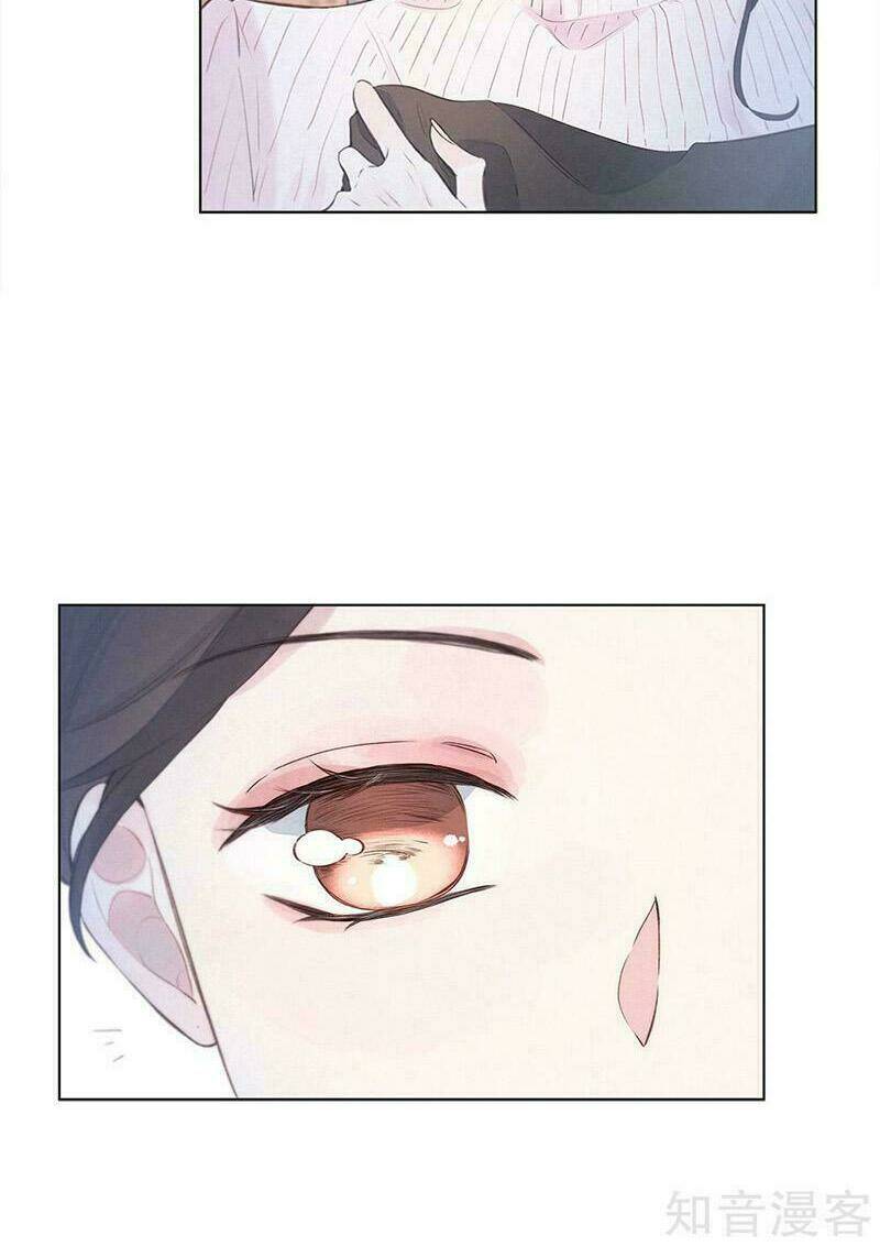 Sắc Đẹp Do Trời Sinh Của Tôi: Chapter 6