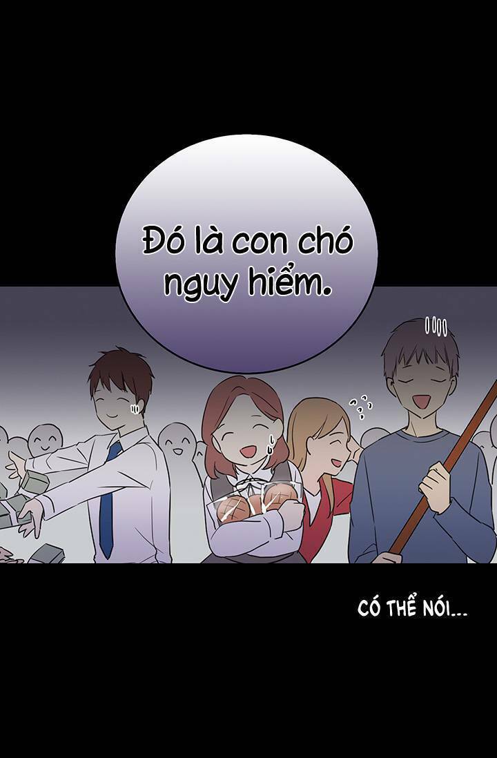 Cô Dâu Của Miêu Hoàng Tử: Chapter 1