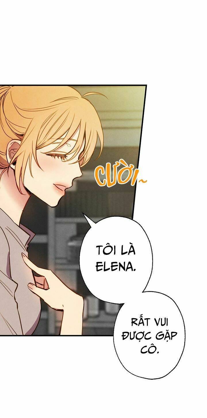 Hoàng Phi Bóng Tối: Chapter 6