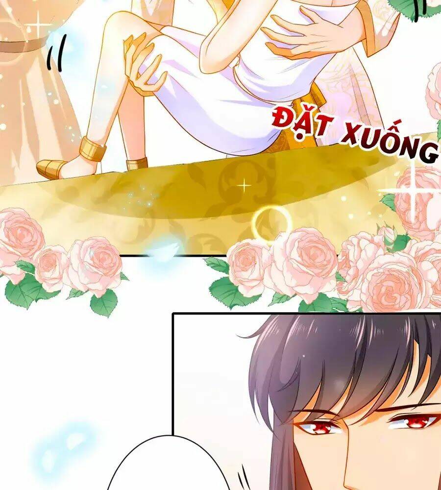 Sủng Hậu Của Vương: Chapter 8