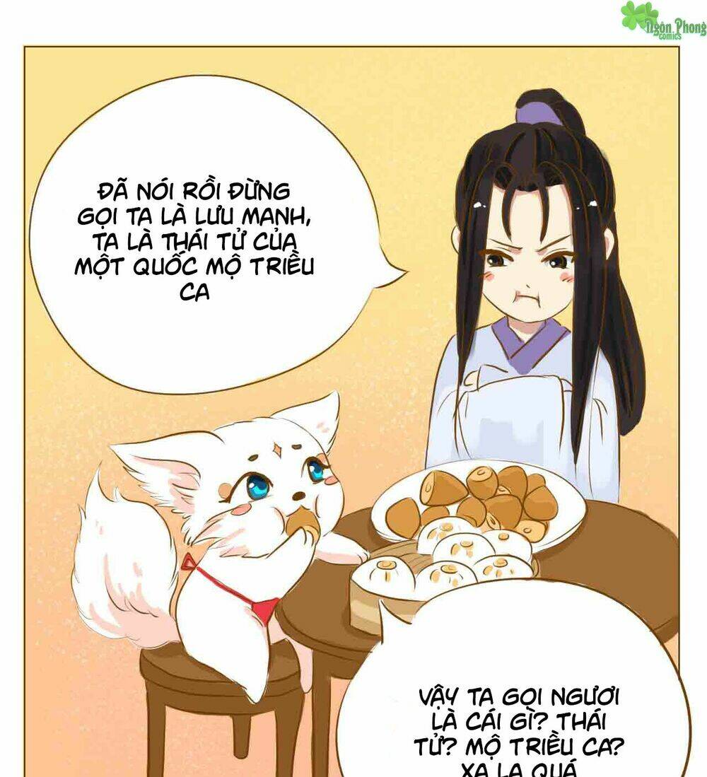 Mẫu Phi Đuôi Của Người Lộ Ra Rồi Kìa: Chapter 5