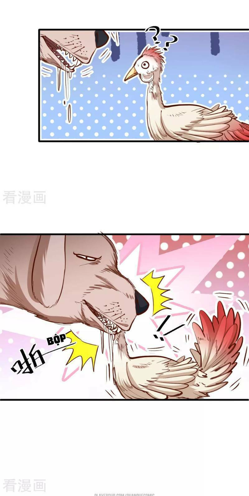 Tối Cường Đại Biểu Hoàng Kim Thận: Chapter 46