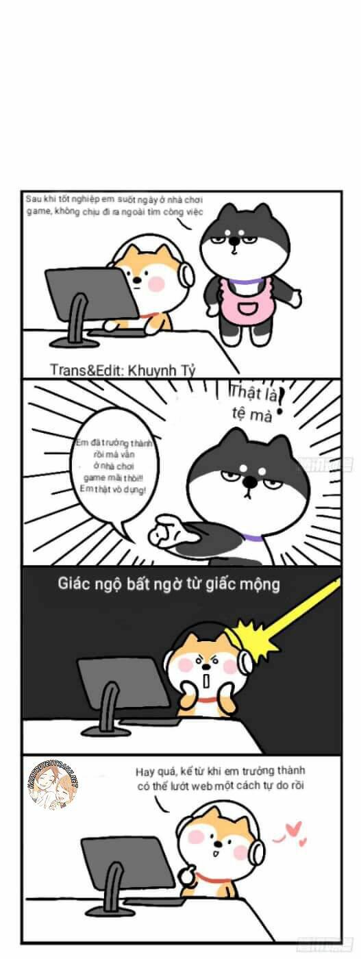 Anh Em Shiba: Chapter 11