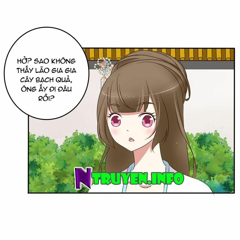 Thông Linh Phi: Chapter 91