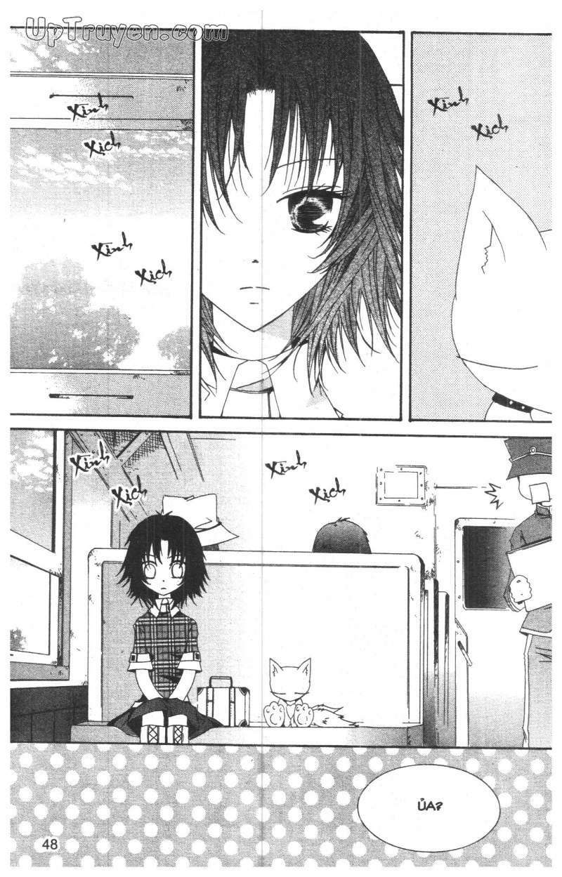 Nước Mắt Nàng Tiên Cá: Chapter 5